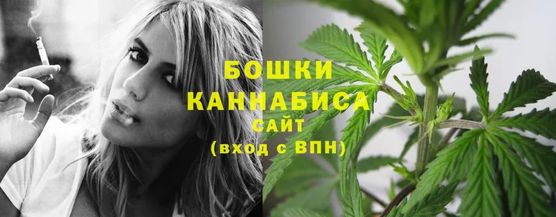 как найти закладки  Новотроицк  Бошки Шишки White Widow 